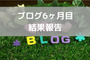 初心者からブログを６ヶ月間毎日更新した結果