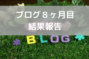 ブログ8ヶ月目、結果報告